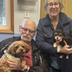 An older man and woman pose indoors, each holding a small dog and smiling at the camera.