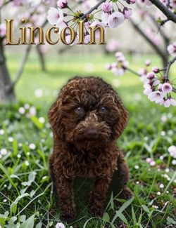 A brown curly-haired puppy sits on grass under blossoming trees with the name "Lincoln" written above.