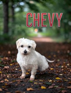 A small white dog stands on a leaf-covered path in the woods with the name "CHEVY" in bold letters above.
