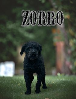 A black curly-haired dog stands on grass with the word "ZORRO" in bold text above its head.